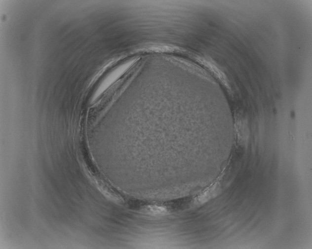 X0000081460159200701261946