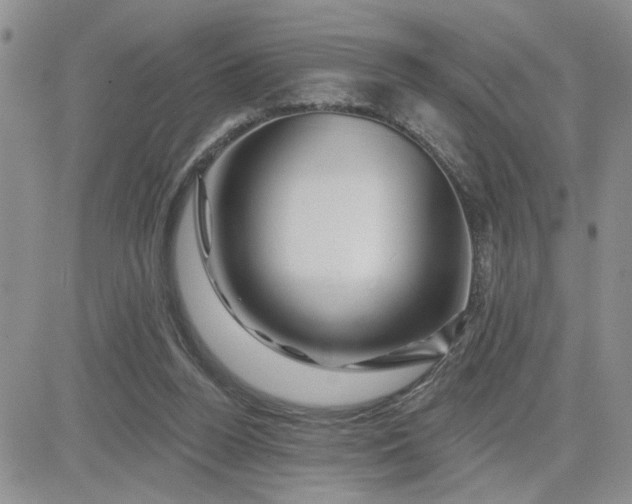 X0000081460160200701261946