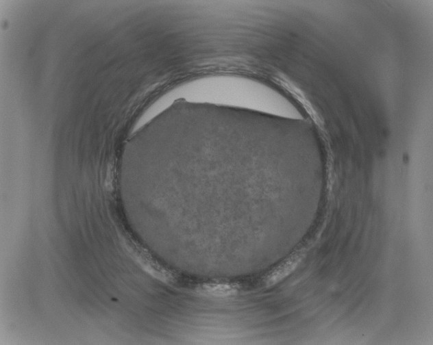 X0000081460161200701261947