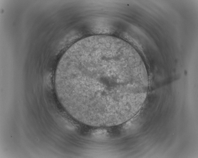 X0000081460162200701261947