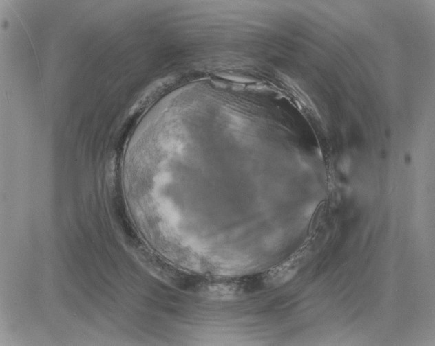 X0000081460163200701261947