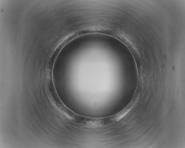 X0000081460164200701261947