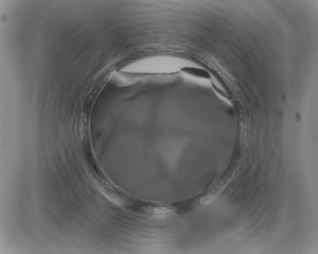 X0000081460165200701261947