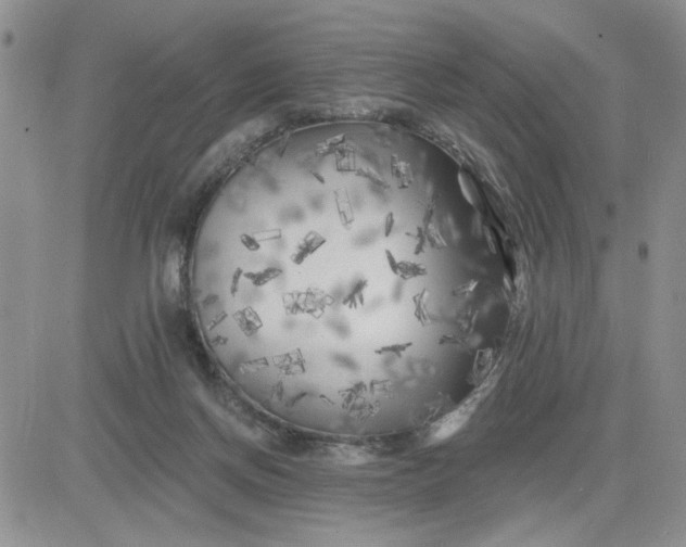 X0000081460166200701261947