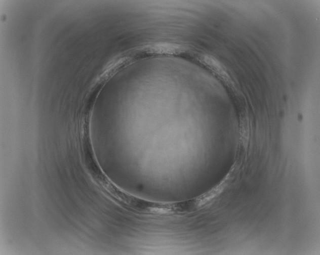 X0000081460167200701261947