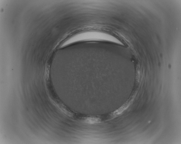 X0000081460168200701261947