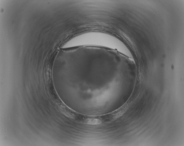 X0000081460169200701261947