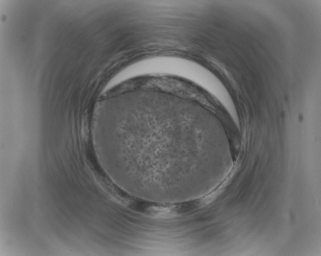 X0000081460170200701261947