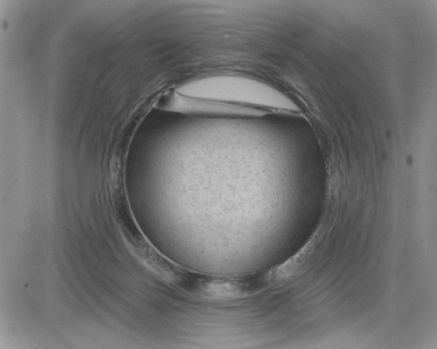 X0000081460171200701261947