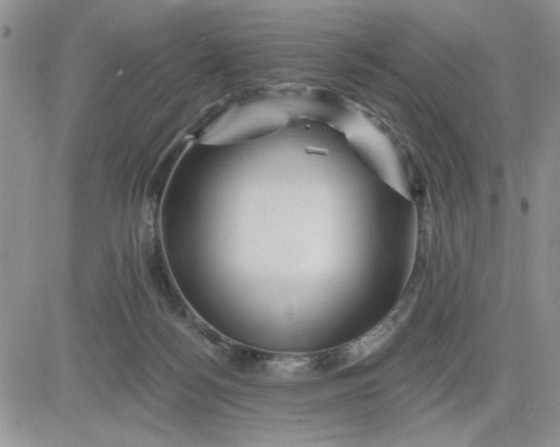 X0000081460172200701261947