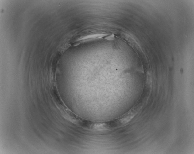 X0000081460173200701261947