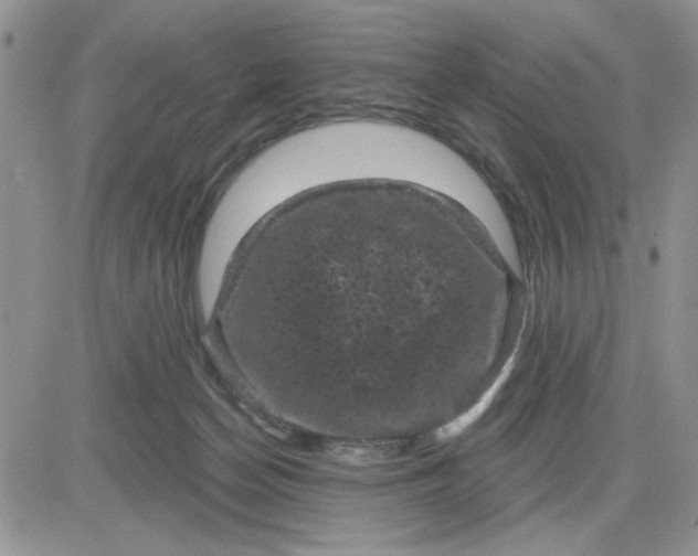 X0000081460174200701261947