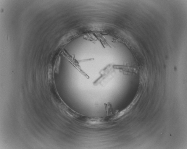 X0000081460175200701261947