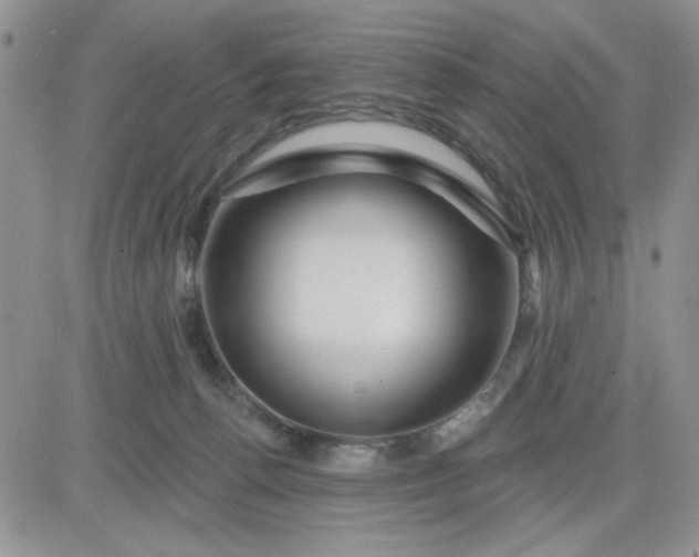 X0000081460176200701261947