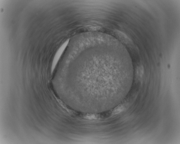 X0000081460177200701261947