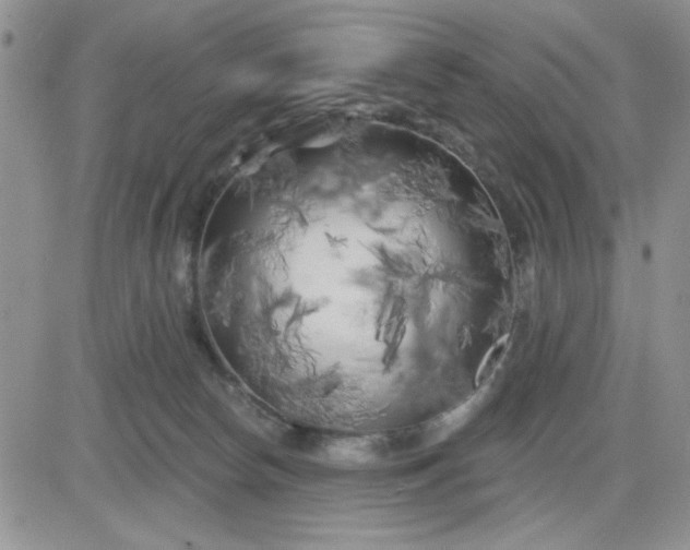 X0000081460178200701261947