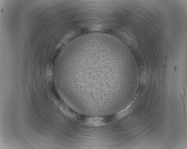 X0000081460179200701261947