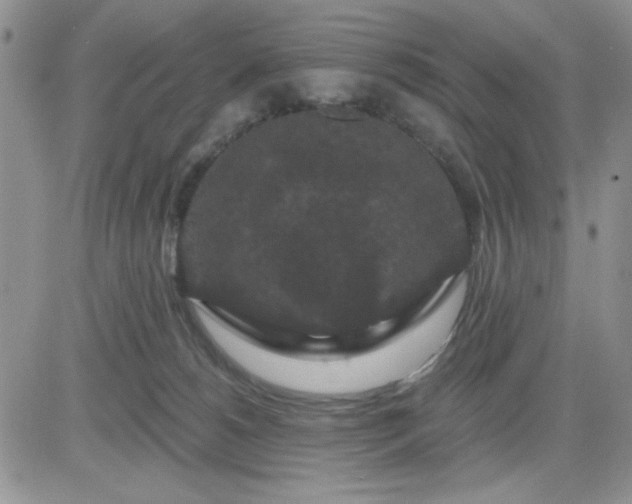 X0000081460180200701261947