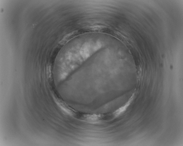 X0000081460182200701261947