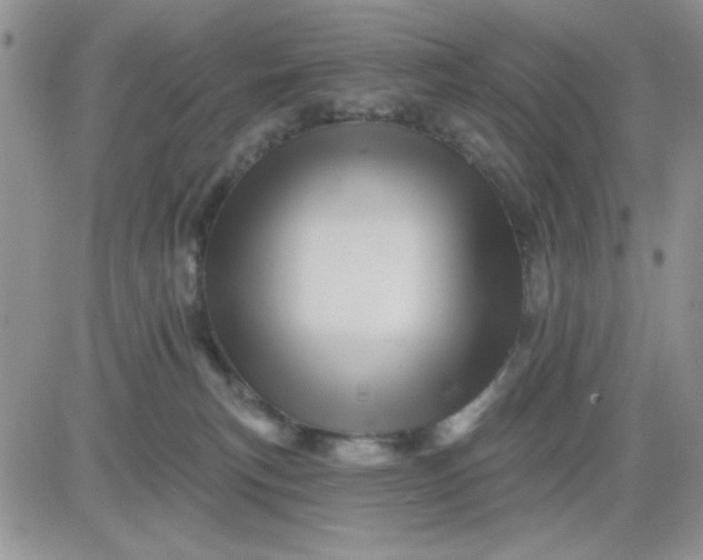 X0000081460183200701261947