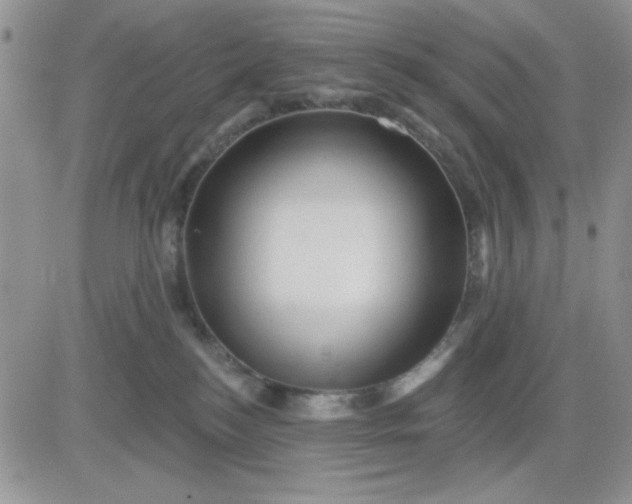 X0000081460184200701261947