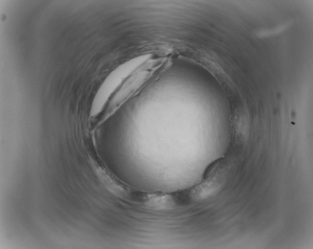 X0000081460185200701261947