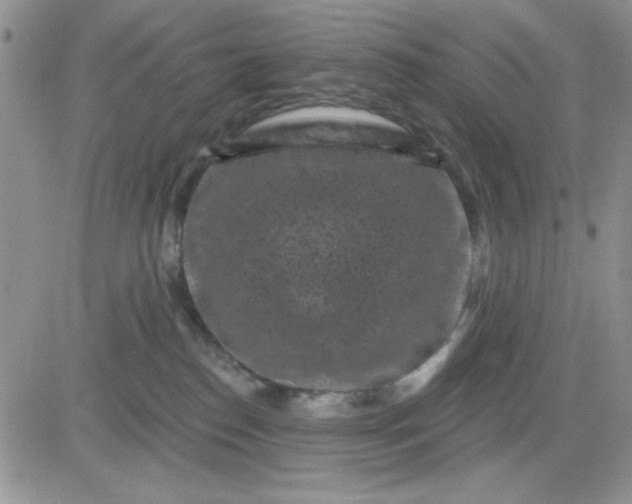 X0000081460186200701261947