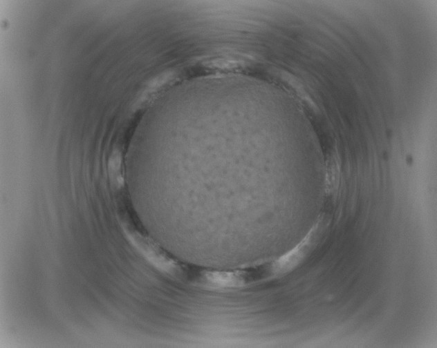 X0000081460187200701261947