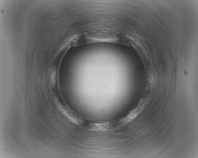 X0000081460188200701261947