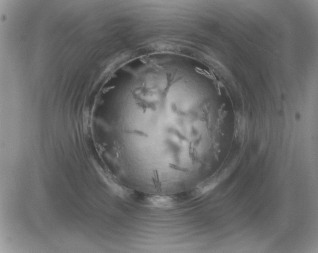 X0000081460189200701261947