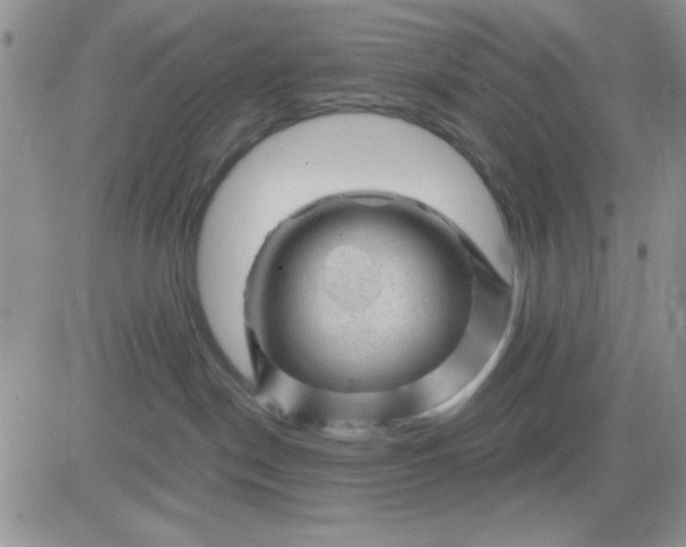 X0000081460190200701261947