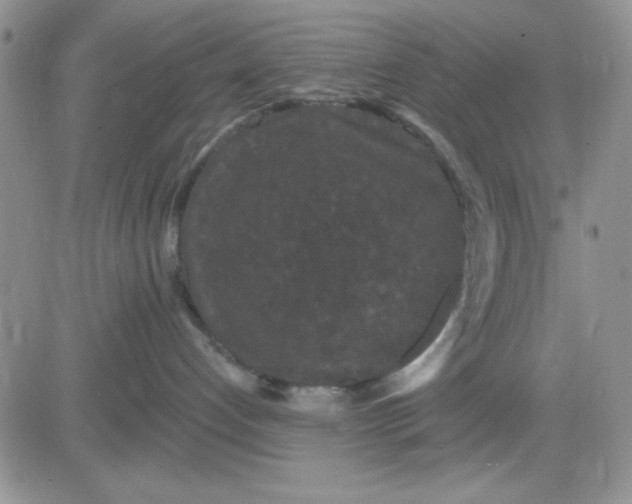 X0000081460192200701261947