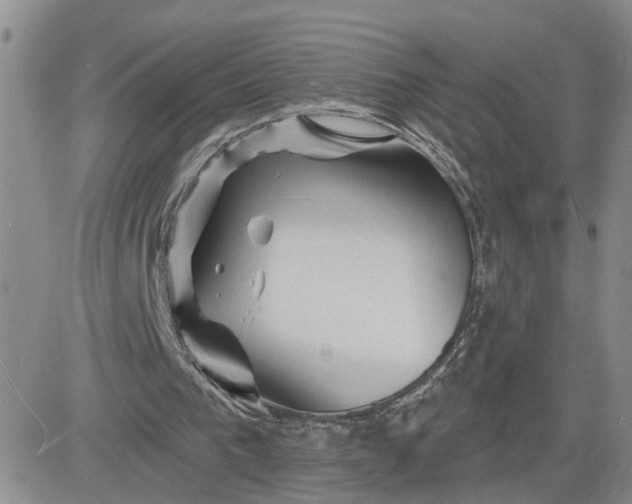 X0000081460193200701261946