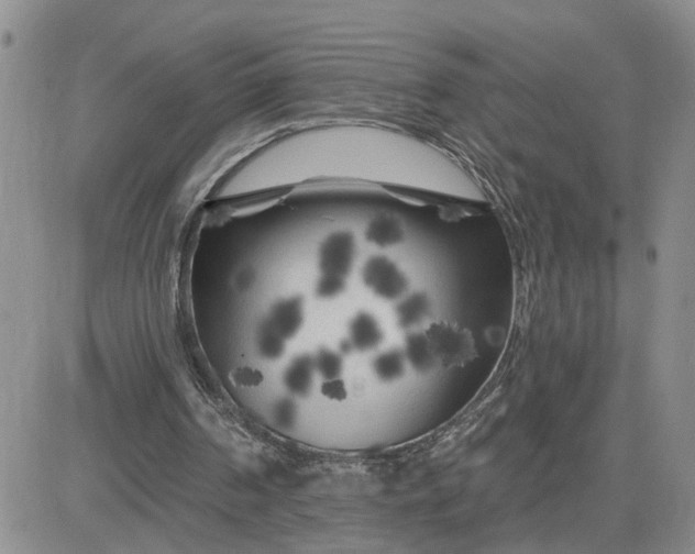 X0000081460194200701261946