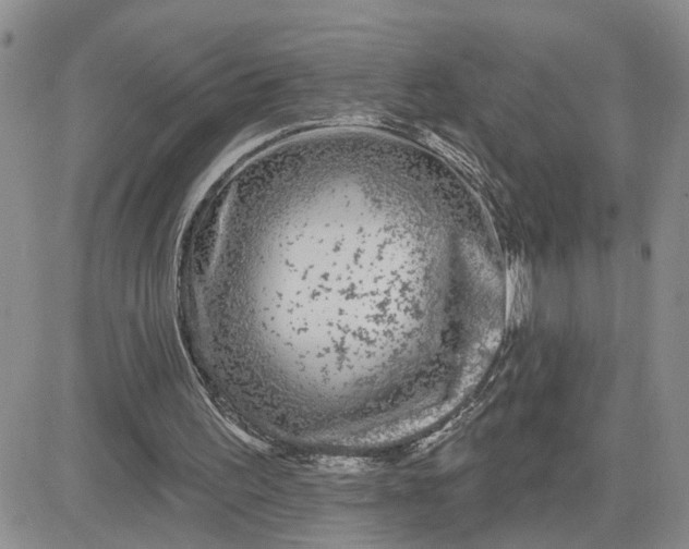 X0000081460195200701261946