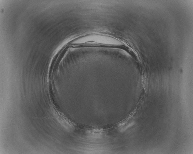 X0000081460196200701261946