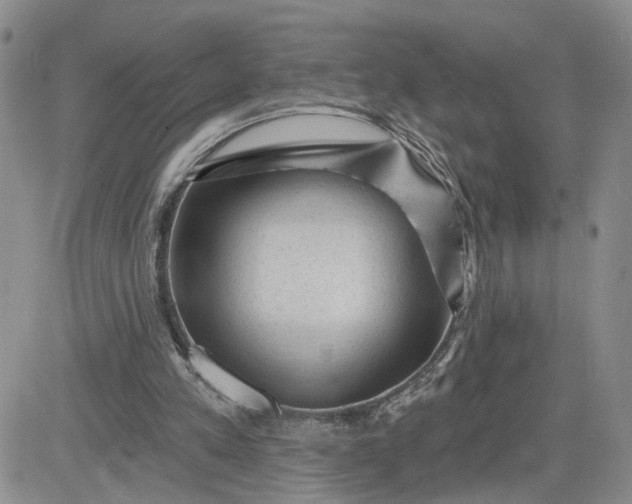 X0000081460197200701261946