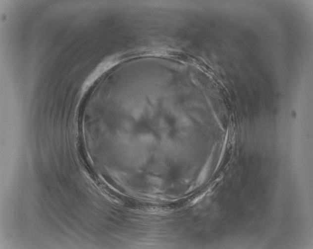 X0000081460198200701261946