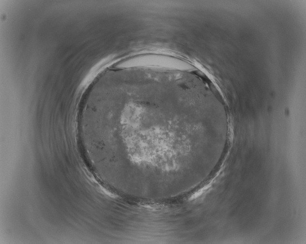 X0000081460199200701261946