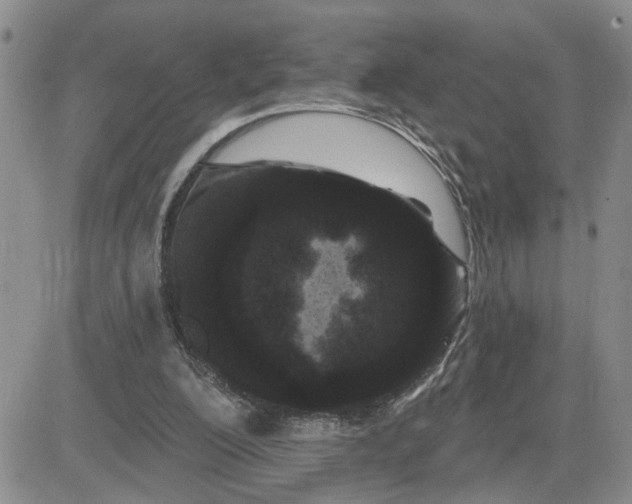 X0000081460200200701261946