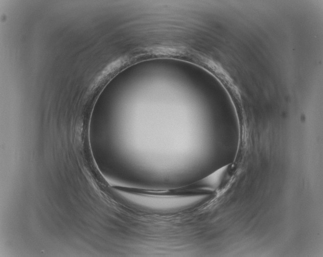 X0000081460201200701261946