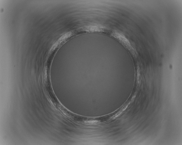 X0000081460202200701261946