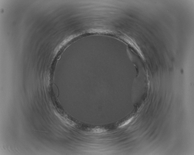 X0000081460204200701261946