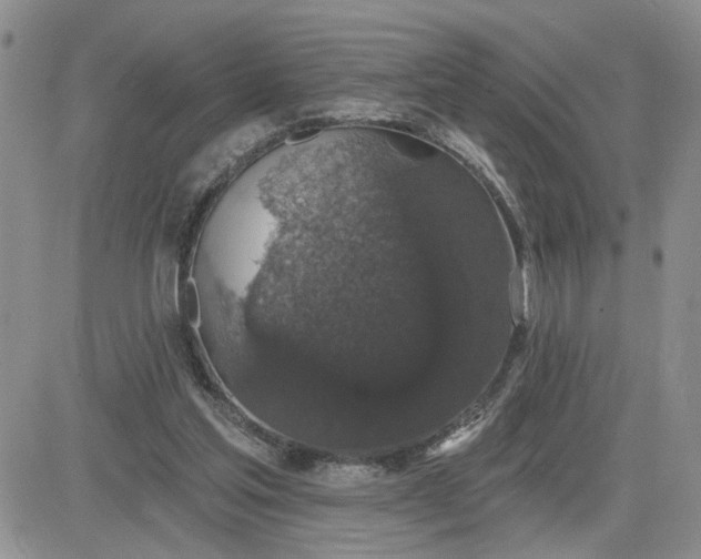 X0000081460205200701261946