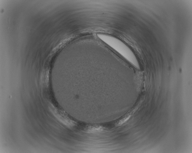 X0000081460206200701261946