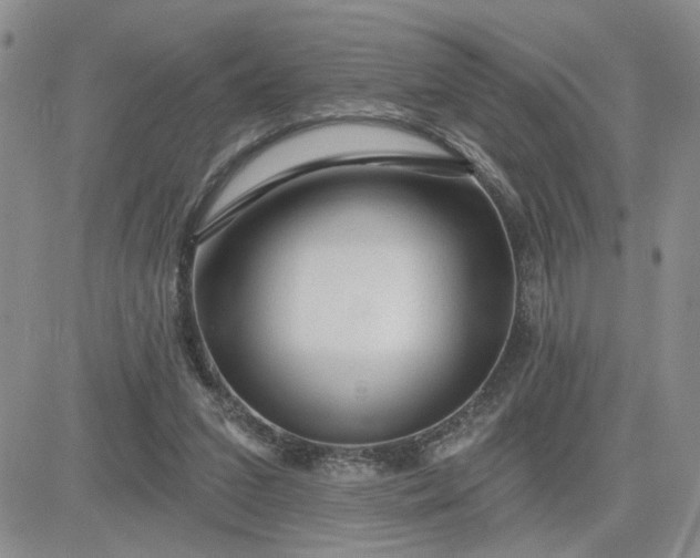 X0000081460207200701261946