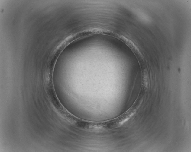 X0000081460208200701261946