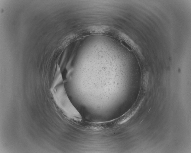 X0000081460209200701261946