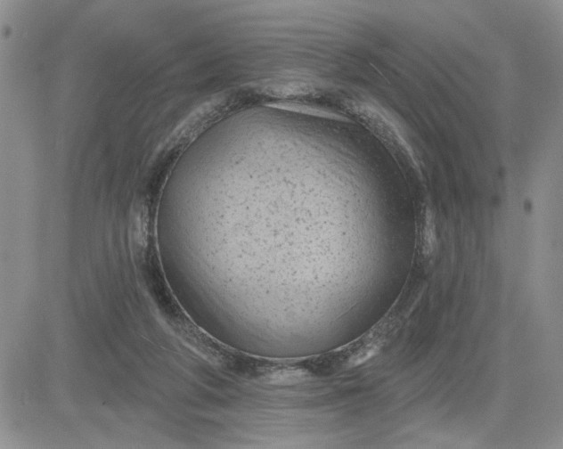 X0000081460210200701261946