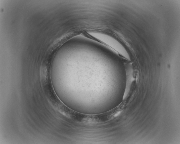 X0000081460211200701261946